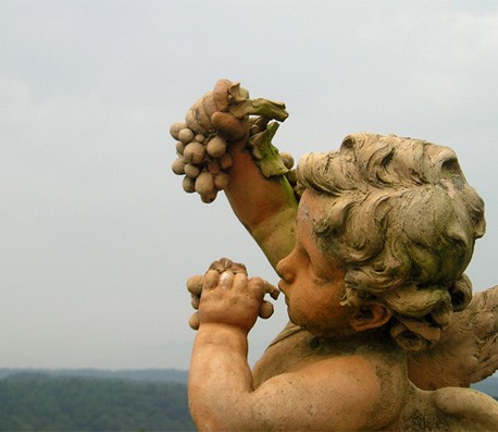 在线DDOS攻击平台